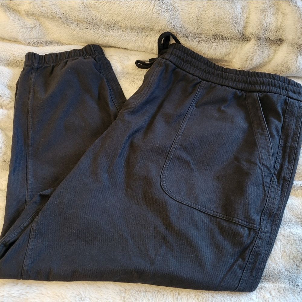 Athleta Plus Size Farallon Jogger Pants, Size 26 - Picture 3 of 13